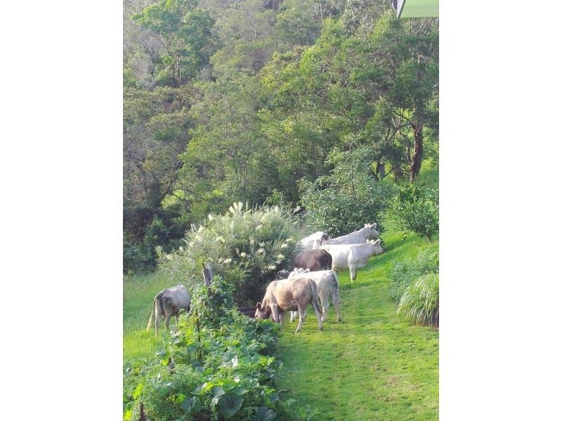 Ravensbourne QLD 4352