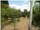 Harristown QLD 4350