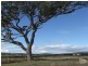 Lot 9 Allen Road, Greenmount QLD 4359