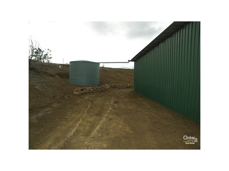 50 Iron Bark Drive, Mount Rascal QLD 4350