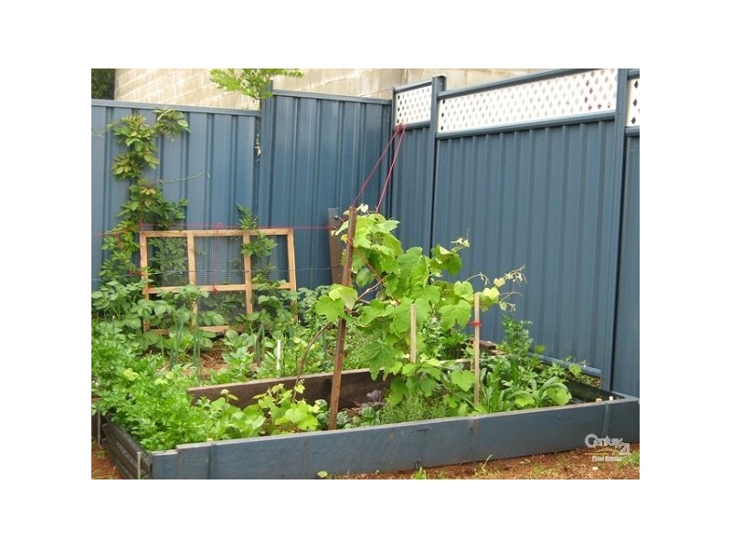 11 Newington Street, Toowoomba QLD 4350