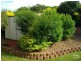 Wilsonton QLD 4350