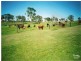136 Dixon Lane, Greenmount East QLD 4359