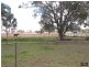 Southbrook QLD 4363
