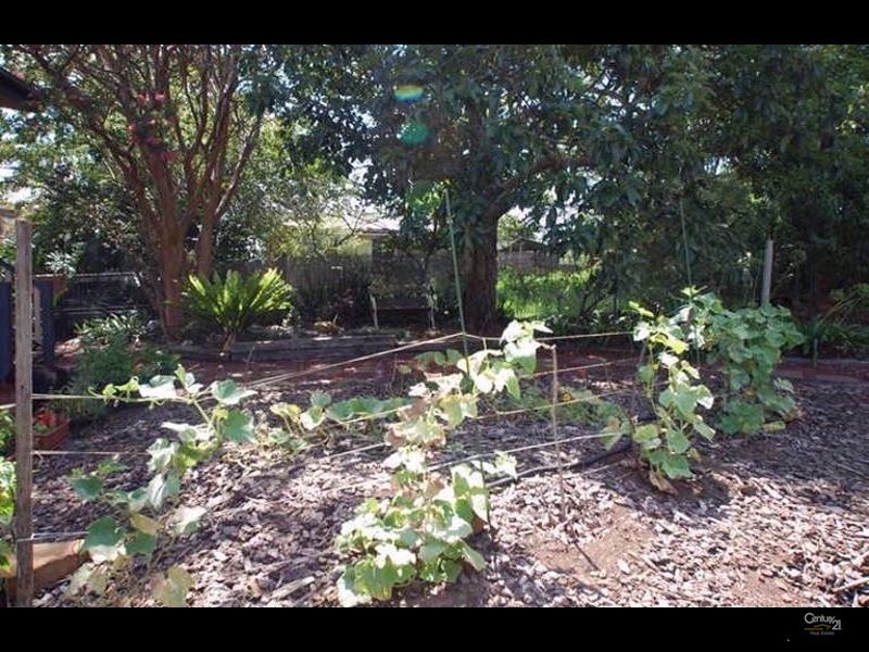 Mount Lofty QLD 4350