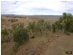 145 Henningsen Road, Oakey QLD 4401
