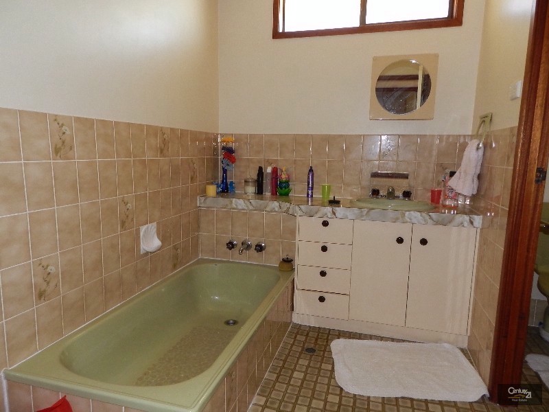 163 Tourist Road, Rangeville QLD 4350