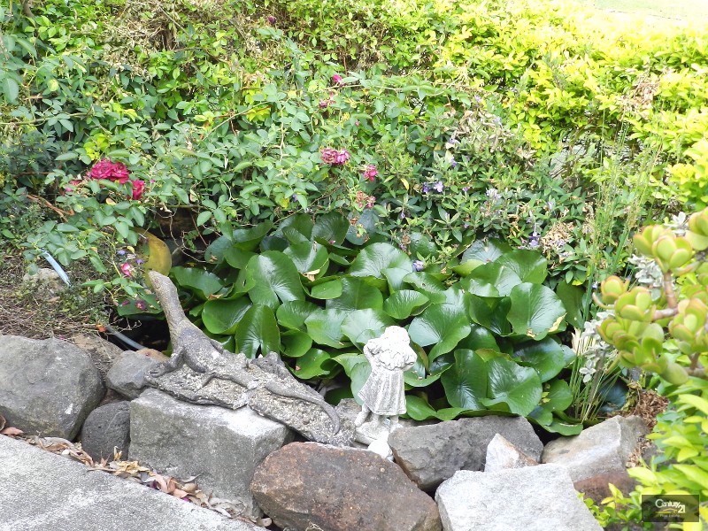 878 Murphys Creek Road, Upper Lockyer QLD 4352