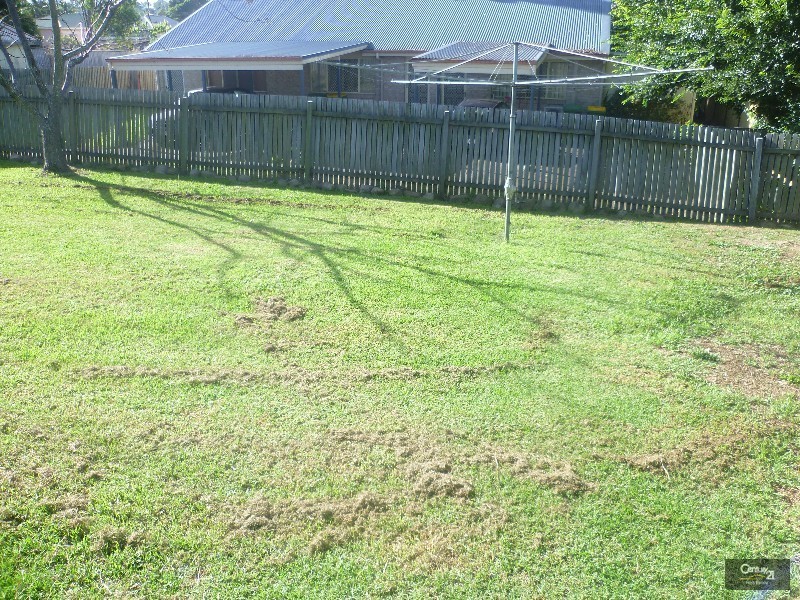 1 Fanny Street, Newtown QLD 4350