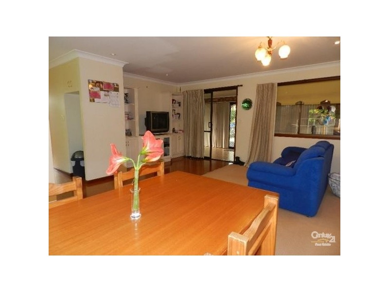 163 Tourist Road, Rangeville QLD 4350