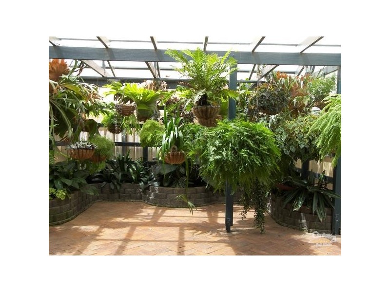 172 Spring Street, Middle Ridge QLD 4350