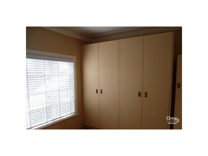 20 Liechhardt Street, Centenary Heights QLD 4350