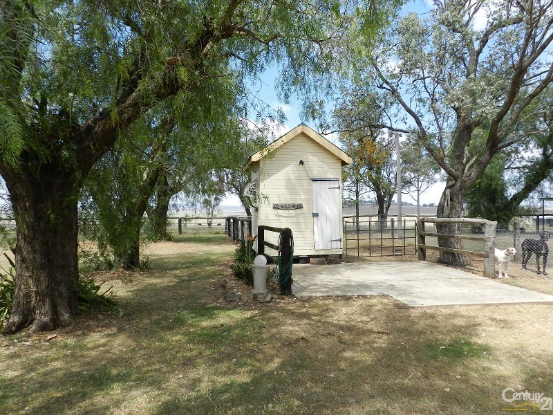 Wyreema QLD 4352