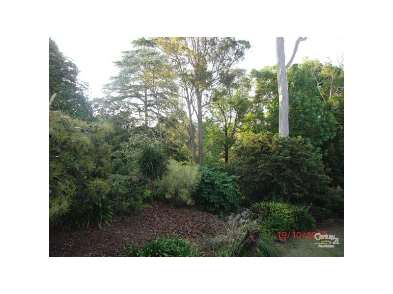 5 Boondi Street, Mount Lofty QLD 4350