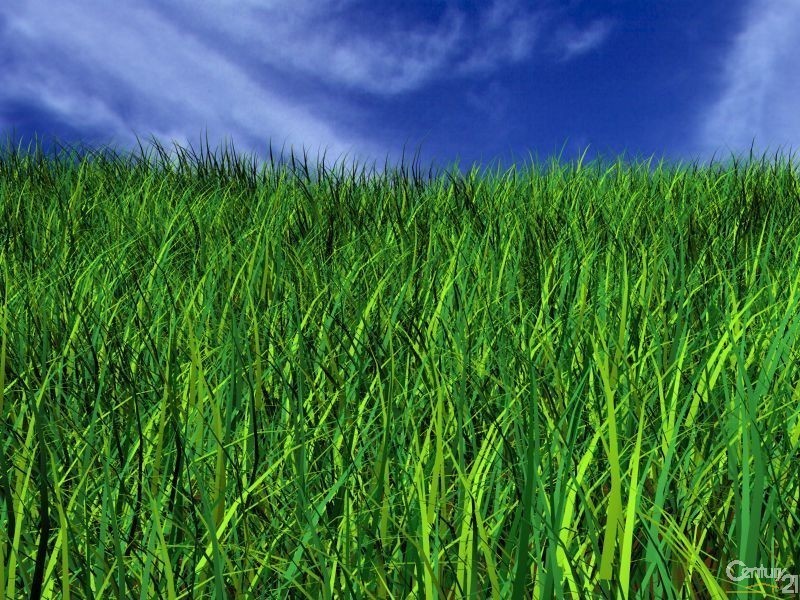 11 Netterville Street, East Toowoomba QLD 4350