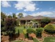11 Montclair Close, Middle Ridge QLD 4350