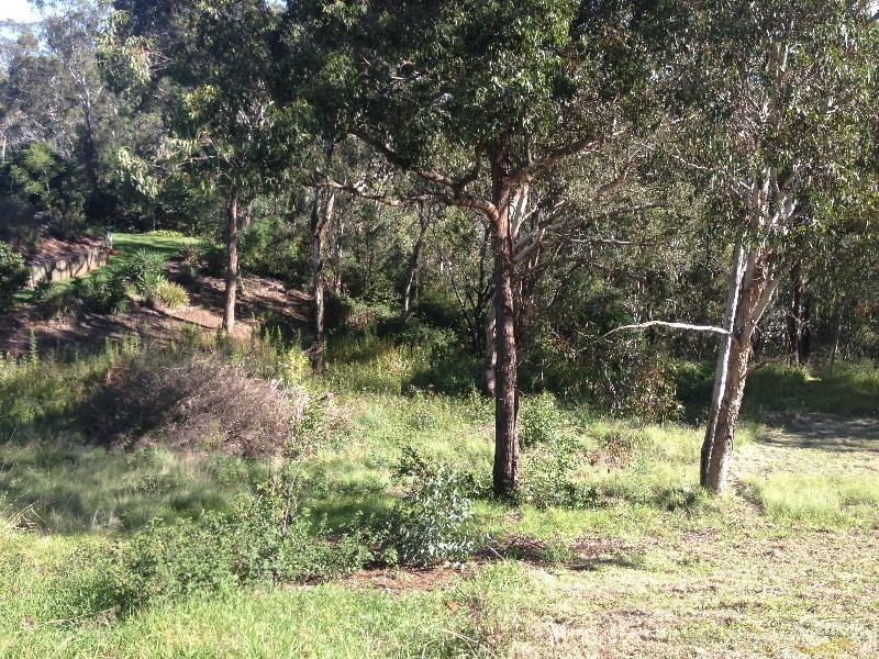 5 Hillsdale Crescent, Blue Mountain Heights QLD 4350