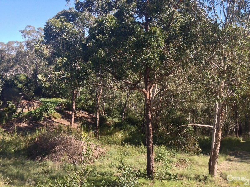 5 Hillsdale Crescent, Blue Mountain Heights QLD 4350