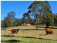 4011 Esk-Hampton road, Ravensbourne QLD 4352