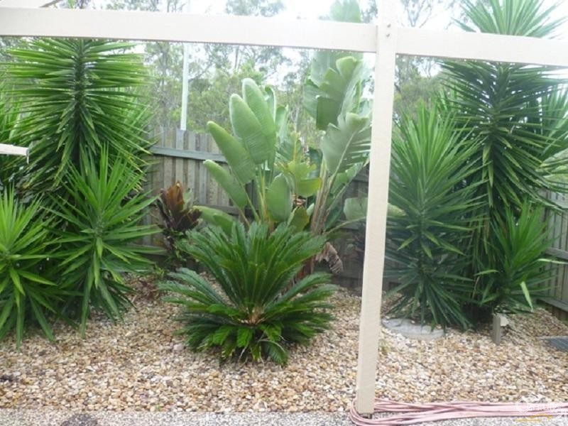 1/125  Platz Street, Darling Heights QLD 4350