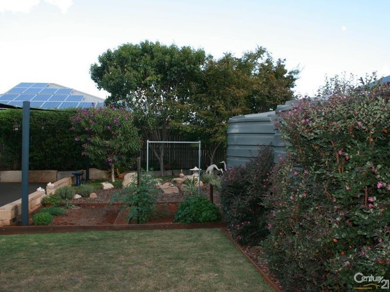 19 Prospect Terrace, Highfields QLD 4352