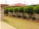 4 Winstanley Court, Newtown QLD 4350