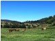 187 Topps Road, Flagstone Creek QLD 4344