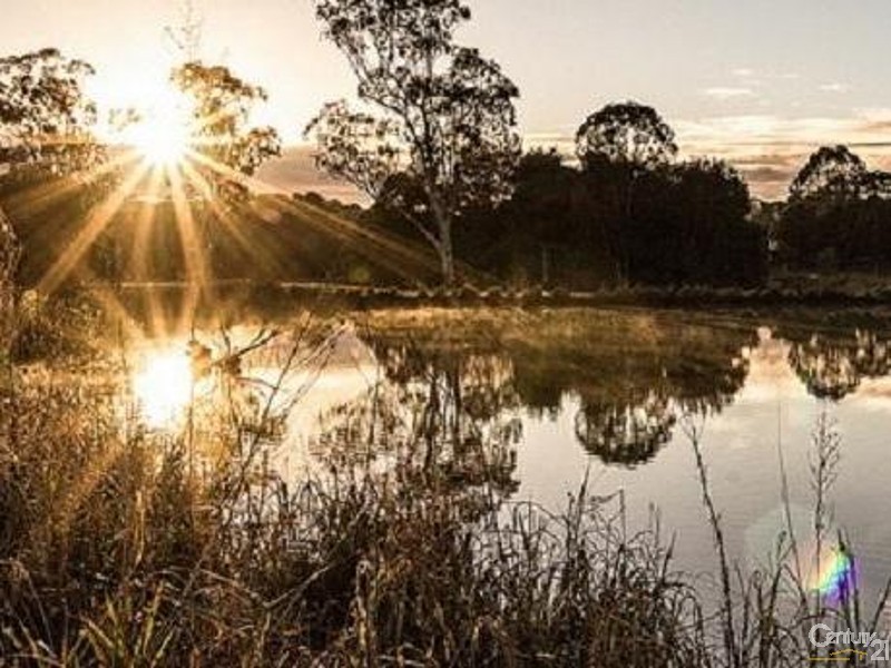 24 Palm Court, Rangeville QLD 4350