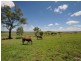 17341 New England Highway, Allora QLD 4362