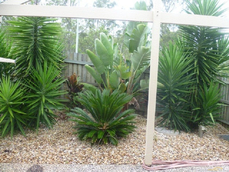 1/125 Platz Street, Darling Heights QLD 4350