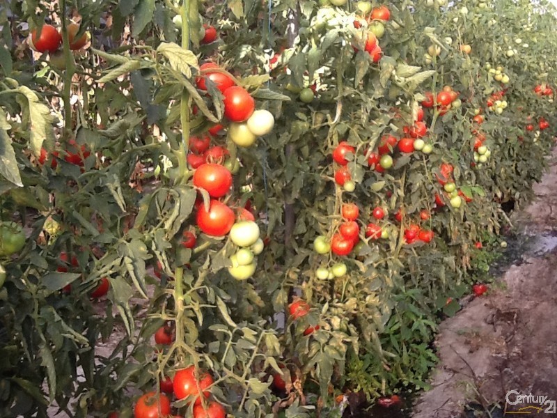 2027 Gatton-Helidon Road, Helidon QLD 4344