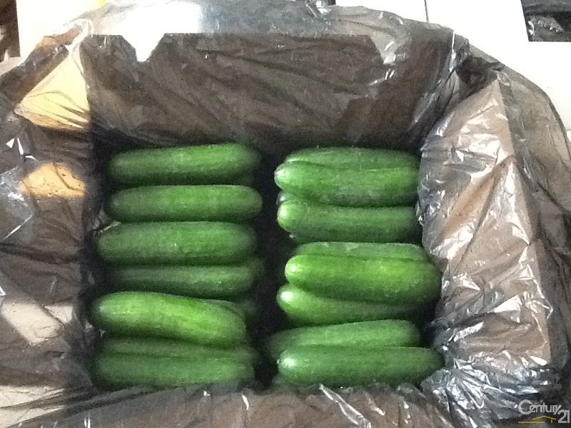 2027 Gatton-Helidon Road, Helidon QLD 4344