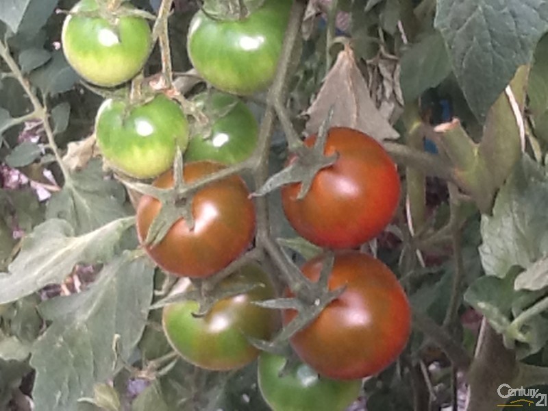 2027 Gatton-Helidon Road, Helidon QLD 4344