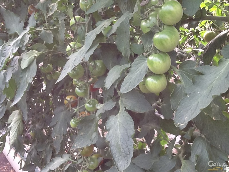 2027 Gatton-Helidon Road, Helidon QLD 4344