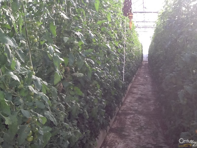 2027 Gatton-Helidon Road, Helidon QLD 4344