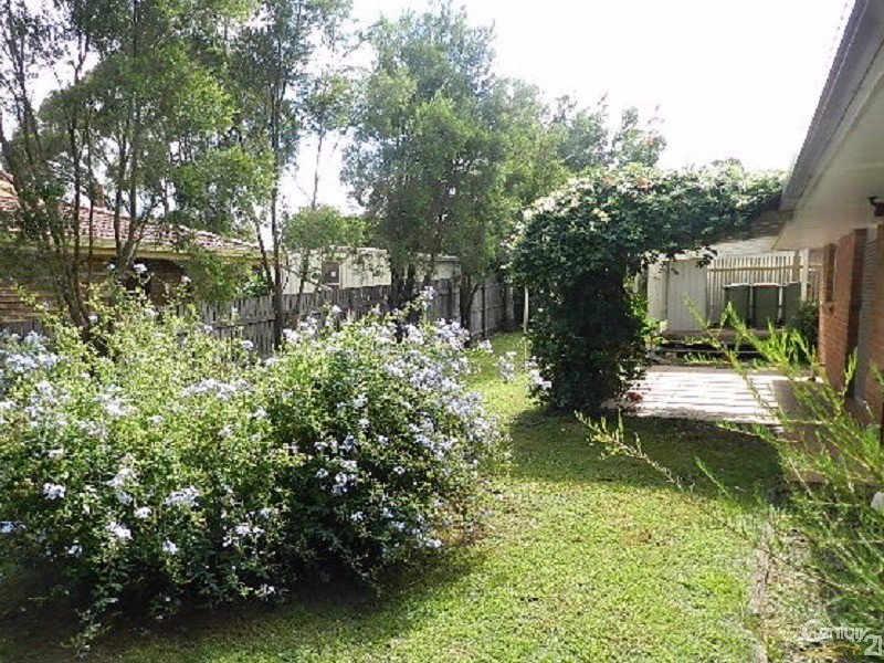 19 Pine Court, Rangeville QLD 4350