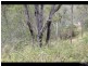 Lot 6 Flagstone Creek Road, Silver Ridge QLD 4352
