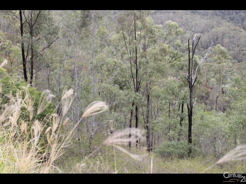 Lot 6 Flagstone Creek Road, Silver Ridge QLD 4352