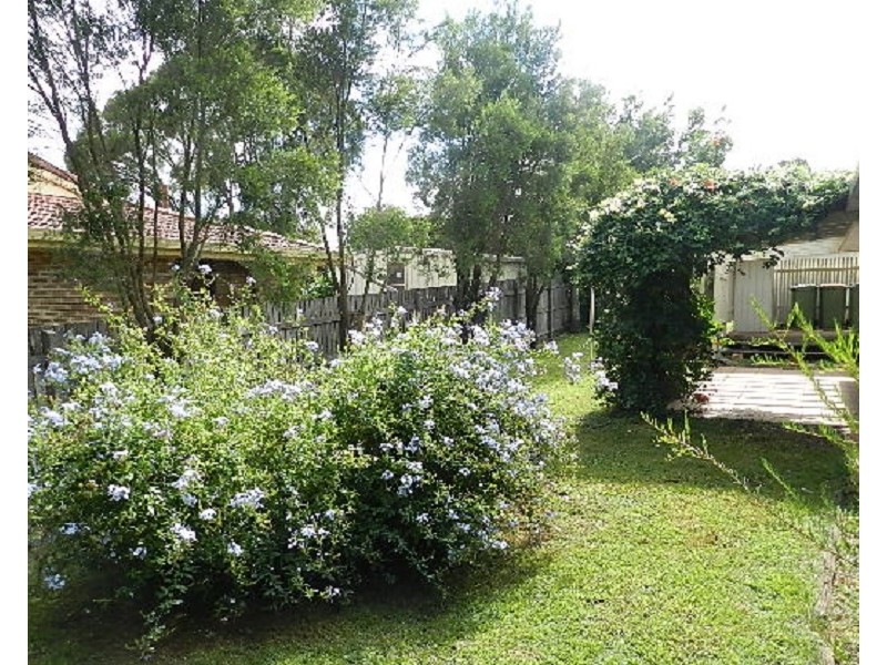 19 Pine Court, Rangeville QLD 4350