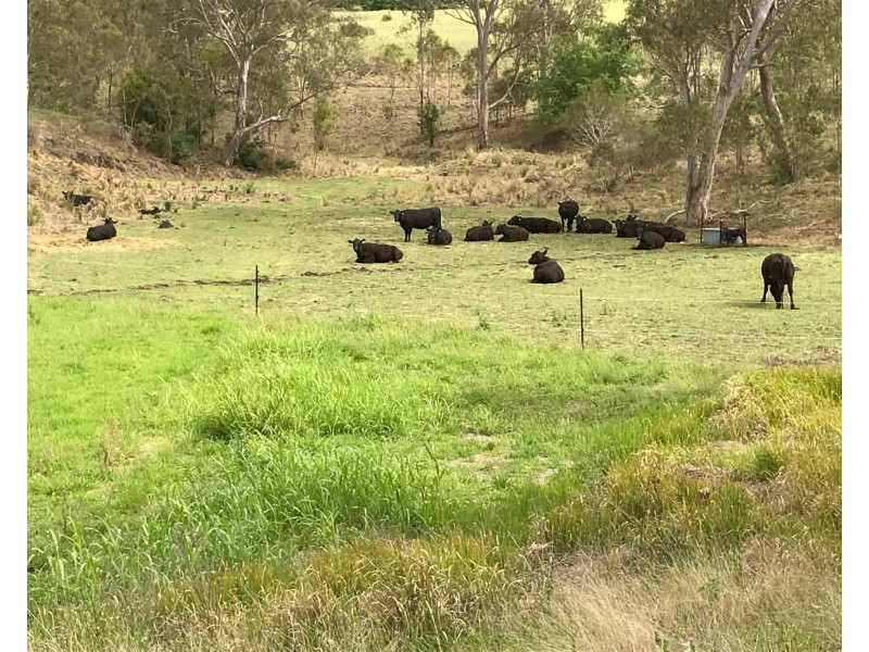 67 Preston Road, Preston QLD 4352