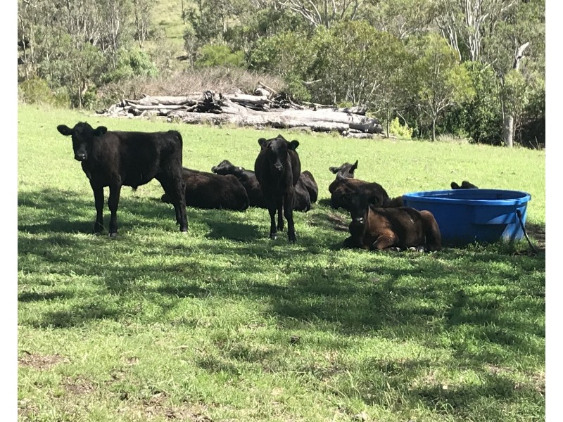 67 Preston Road, Preston QLD 4352