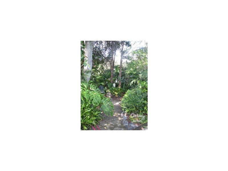 5 Curtis, Manly QLD 4179