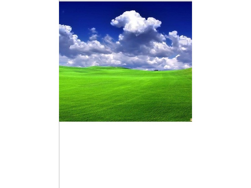 Lot 19 Berringar Street, Wynnum QLD 4178