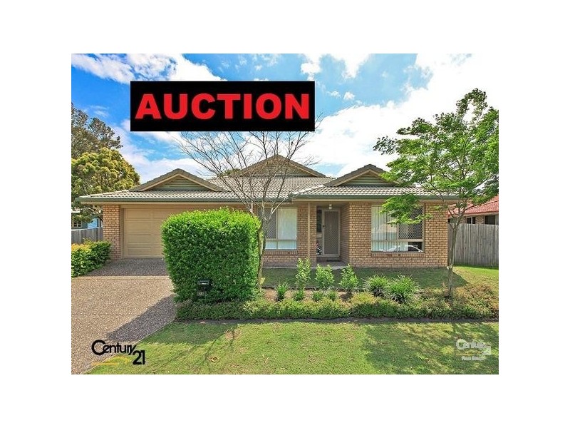 15 Elaine Place, Birkdale QLD 4159