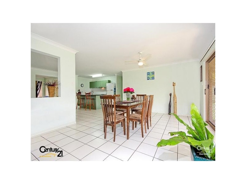 15 Elaine Place, Birkdale QLD 4159