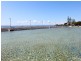 24/127 Wynnum Esplanade, Wynnum QLD 4178