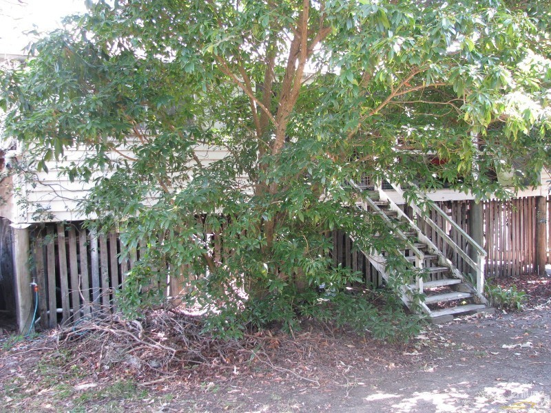 229 Whites Road, Lota QLD 4179