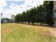 35 Field Avenue, Hemmant QLD 4174