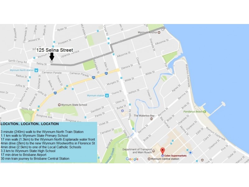 125 Selina Street, Wynnum QLD 4178