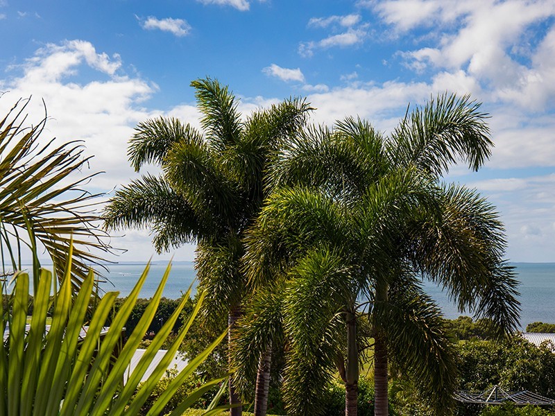 27 Petersen Street, Wynnum QLD 4178